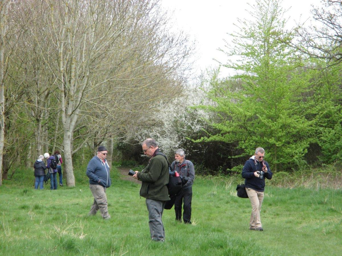 Lesser spotted photographers